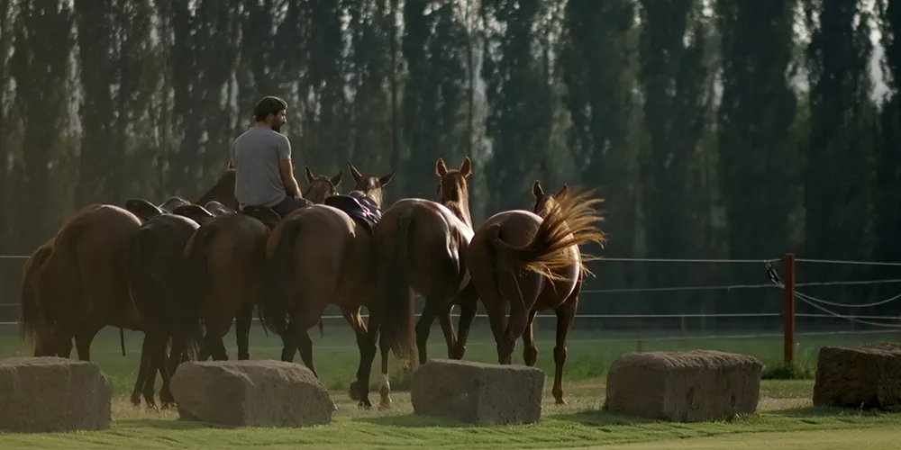 Acquedotto Romano Polo Club